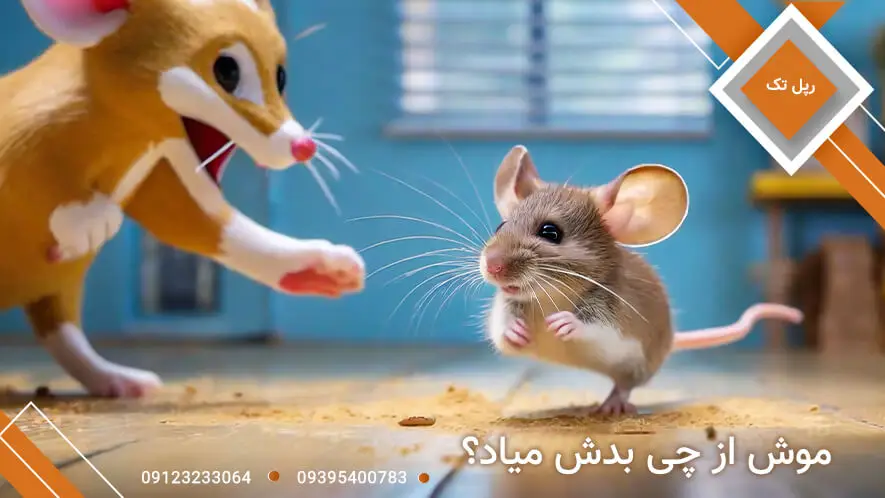 موش از چی بدش میاد؟
