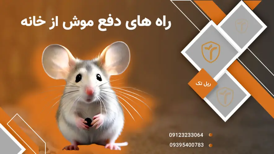 انواع صداها برای فراری دادن موش