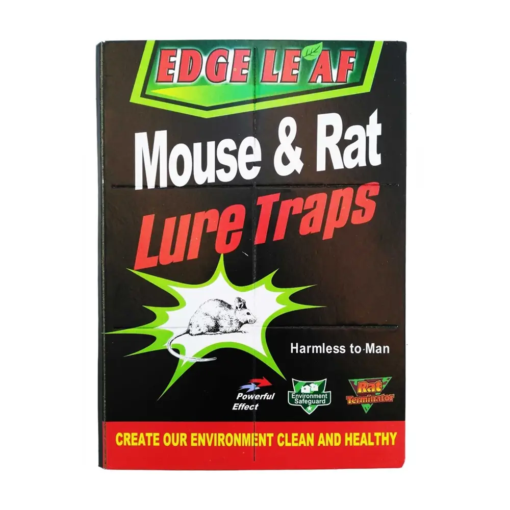mouse glue چسب موش کتابی