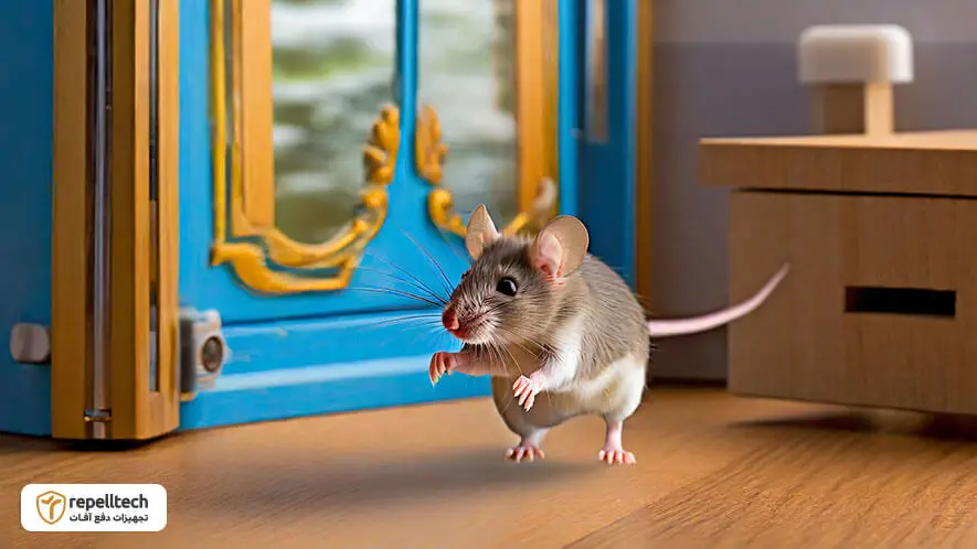 موش در خانه نشانه چیست؟