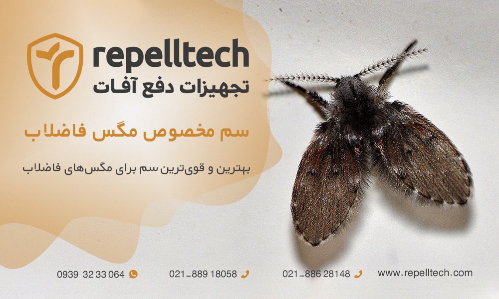 سم مخصوص مگس فاضلاب