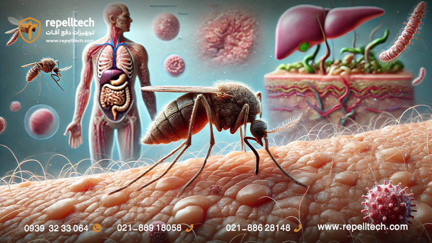 عکس جای نیش پشه خاکی