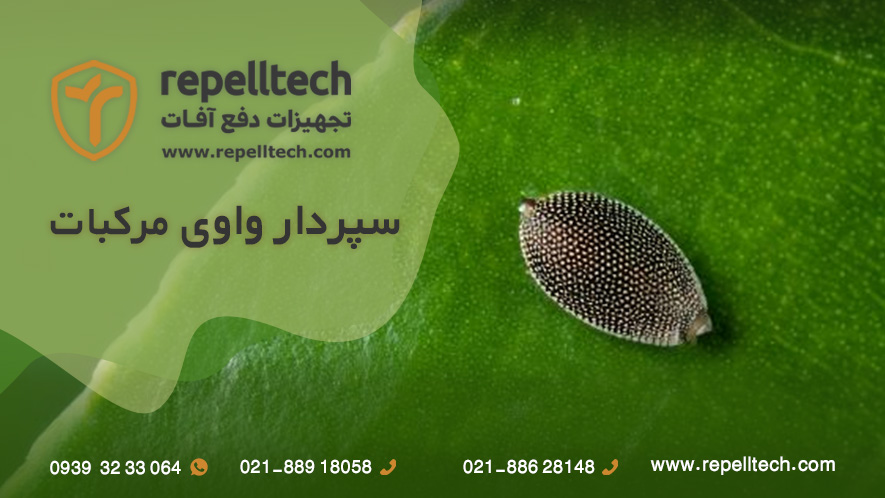 سپردار واوی مرکبات
