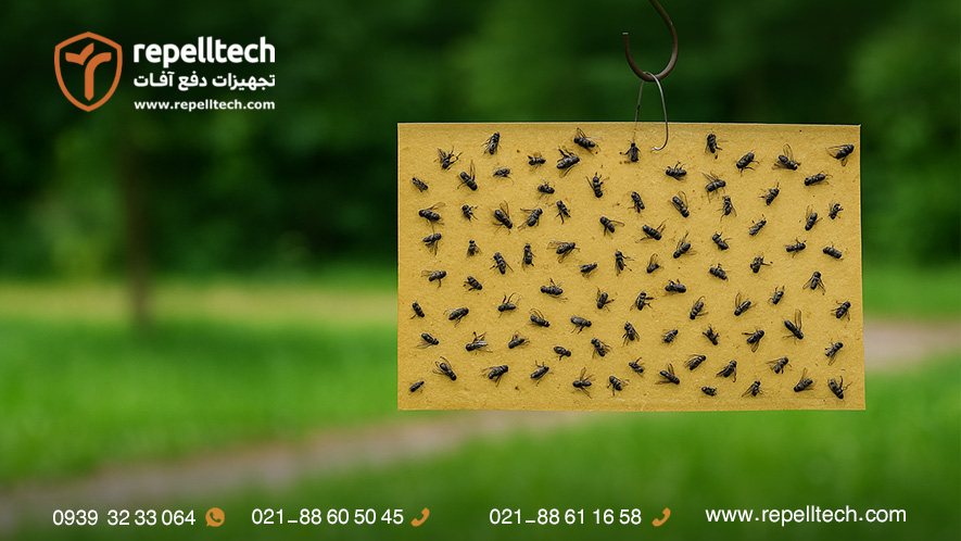 تله چسبی حشرات