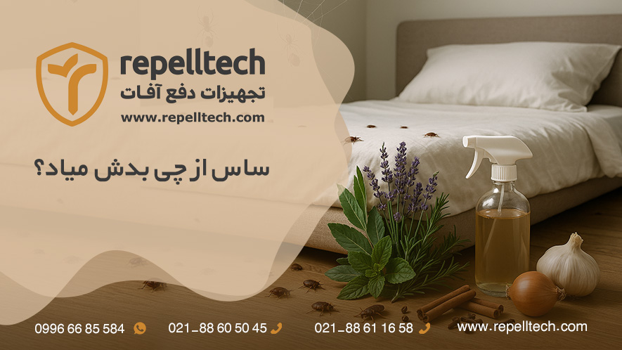 ساس از چی بدش میاد