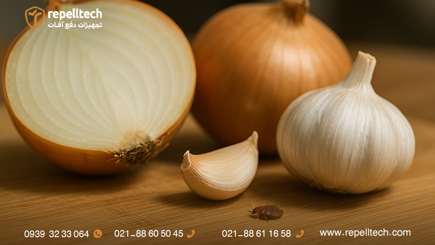بوی تند سیر و پیاز اولین پاسخ به ساس از چه بویی بدش میاد