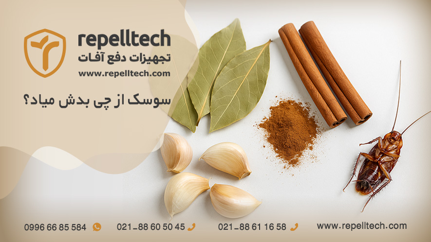سوسک از چی بدش میاد