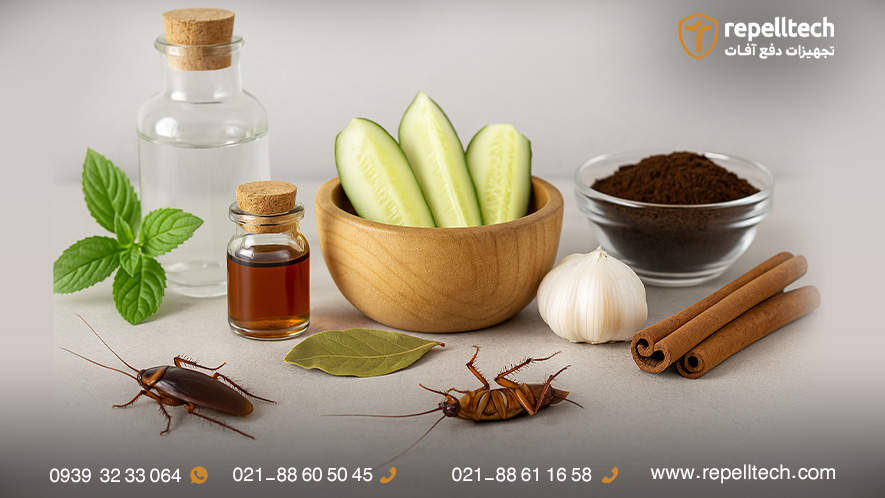 سوسک از چی بدش میاد