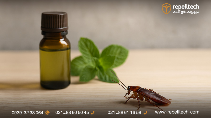 سوسک از چه بویی بدش میاد