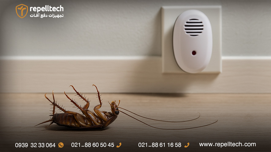 صدایی که سوسک بدش میاد