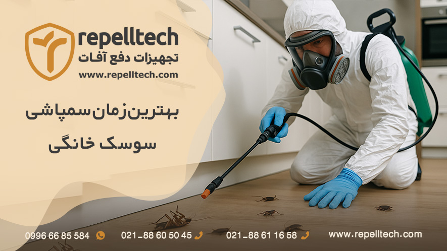 بهترین زمان سمپاشی سوسک خانگی