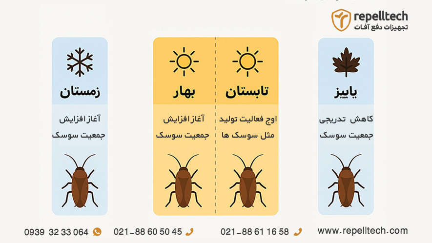 اولین قدم در تعیین زمان سمپاشی سوسک