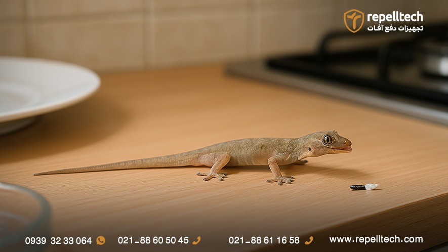 آیا مارمولک سیانور دارد؟