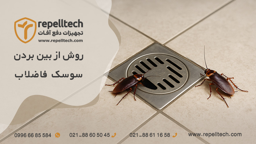 بهترین راه برای از بین بردن سوسک فاضلاب