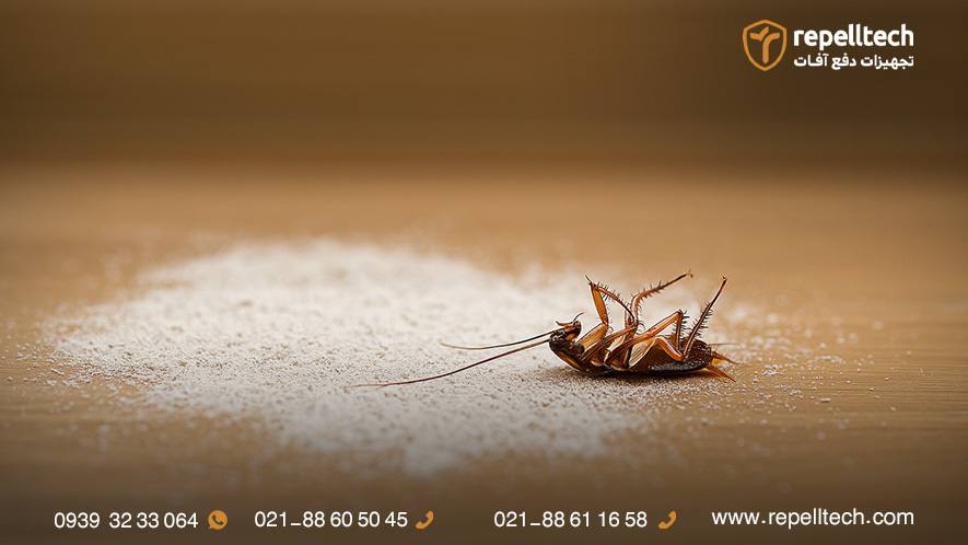 خاک دیاتومه یکی از راه های از بین بردن سوسک فاضلاب