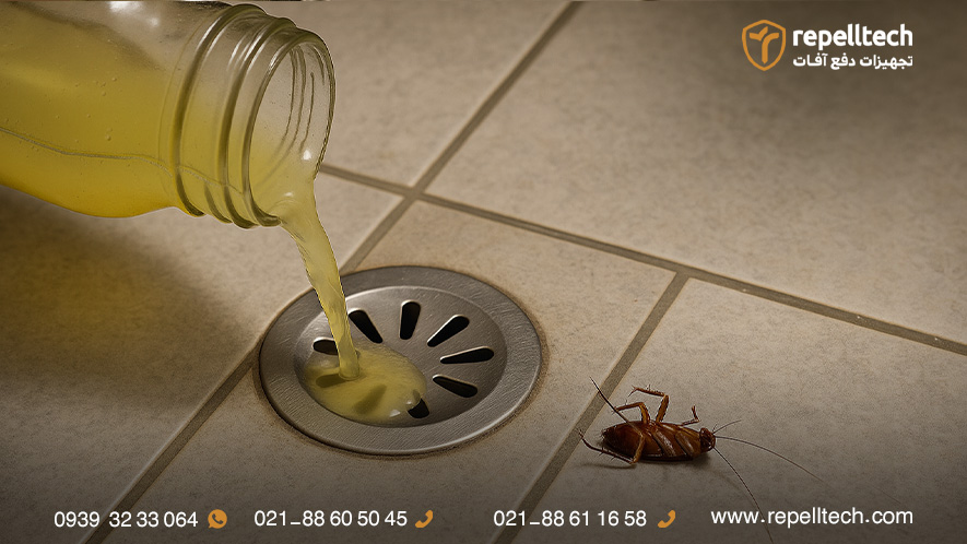 از بین بردن سوسک فاضلاب با گازوئیل