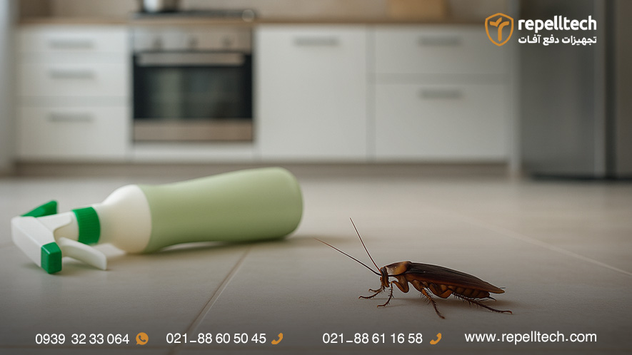 حذف عوامل محیطی اولین قدم برای از بین بردن سوسک فاضلاب