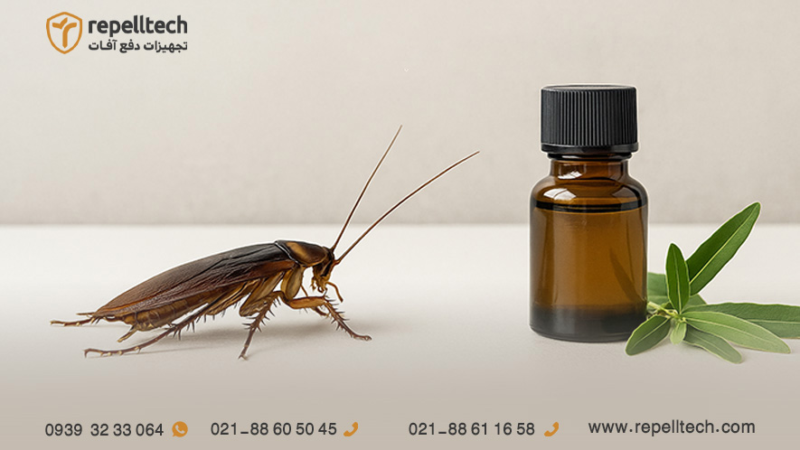 از بین بردن سوسک با استفاده از روغن های گیاهی