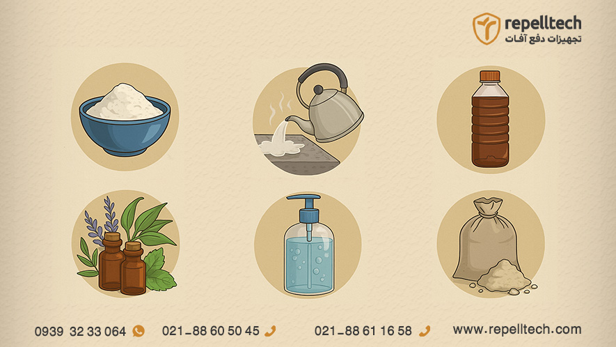 روش‌های خانگی و طبیعی از بین بردن سوسک فاضلاب